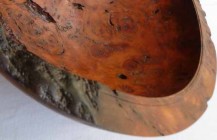 Beautiful South Island burl